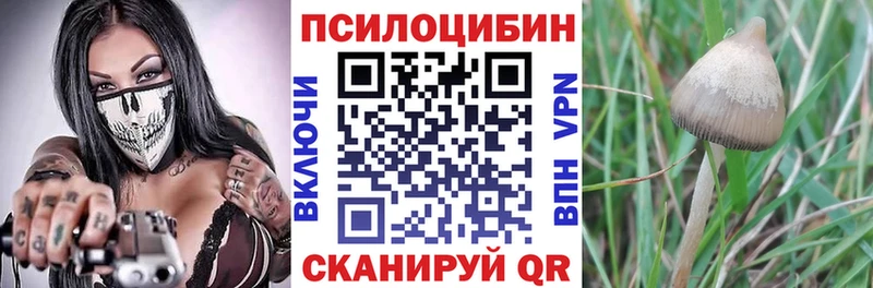 Галлюциногенные грибы прущие грибы  Краснослободск 