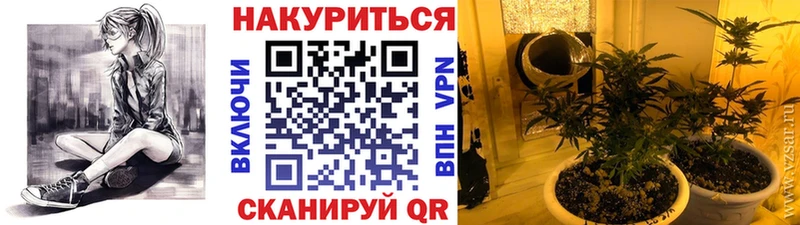 где купить наркотик  Краснослободск  hydra как зайти  Шишки марихуана White Widow 